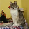 Отзыв от Лилия Баранова